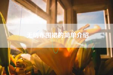 无纺布围裙的简单介绍