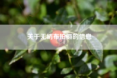 关于无纺布拍摄的信息