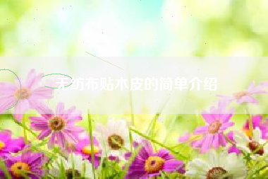 无纺布贴木皮的简单介绍