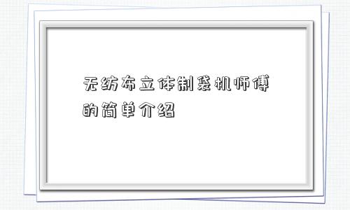 无纺布立体制袋机师傅的简单介绍