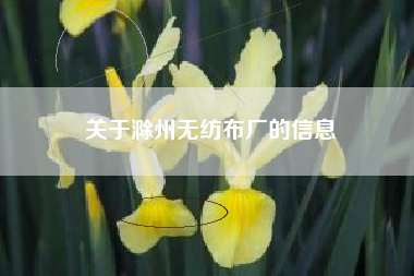 关于滁州无纺布厂的信息
