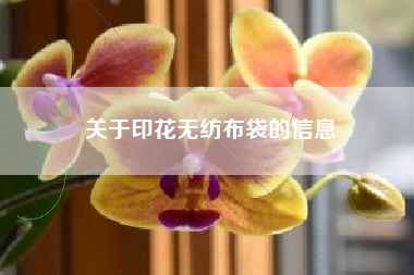 关于印花无纺布袋的信息