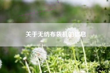 关于无纺布袋机的信息
