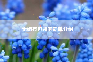 无纺布包装的简单介绍