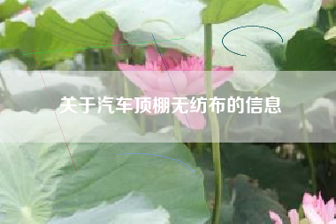 关于汽车顶棚无纺布的信息