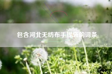包含河北无纺布手提袋的词条