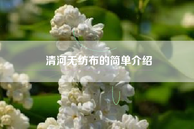 清河无纺布的简单介绍