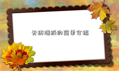 无纺墙纸的简单介绍