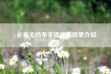 长春无纺布手提袋的简单介绍