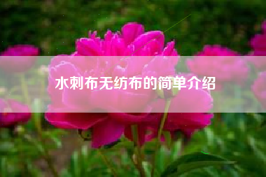 水刺布无纺布的简单介绍