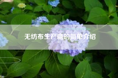 无纺布生产商的简单介绍