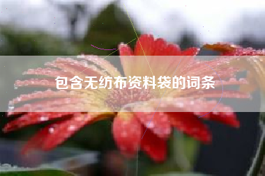 包含无纺布资料袋的词条