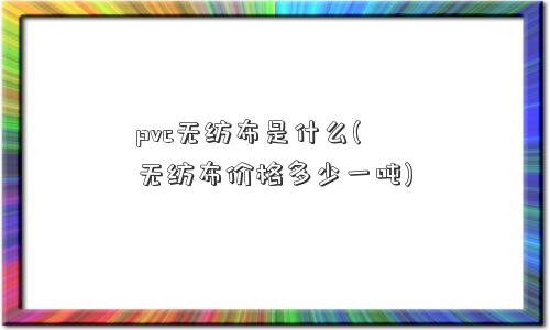 pvc无纺布是什么(无纺布价格多少一吨)