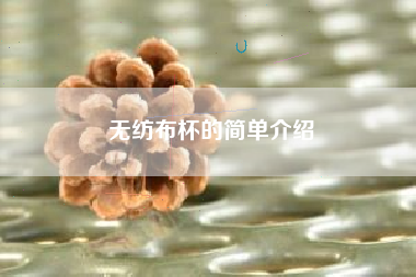 无纺布杯的简单介绍