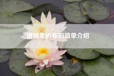 诸城无纺布的简单介绍