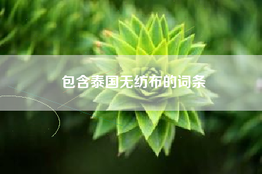 包含泰国无纺布的词条