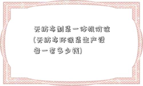 无纺布制袋一体机价位(无纺布环保袋生产设备一套多少钱)